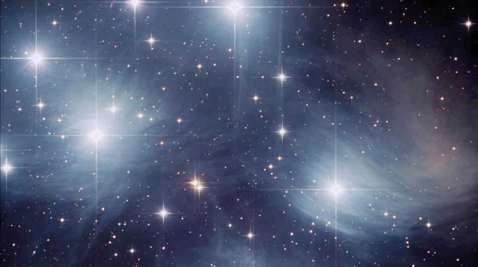 m45arienagel
