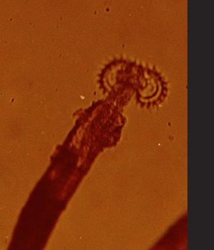 Schermafbeelding20120608om021352