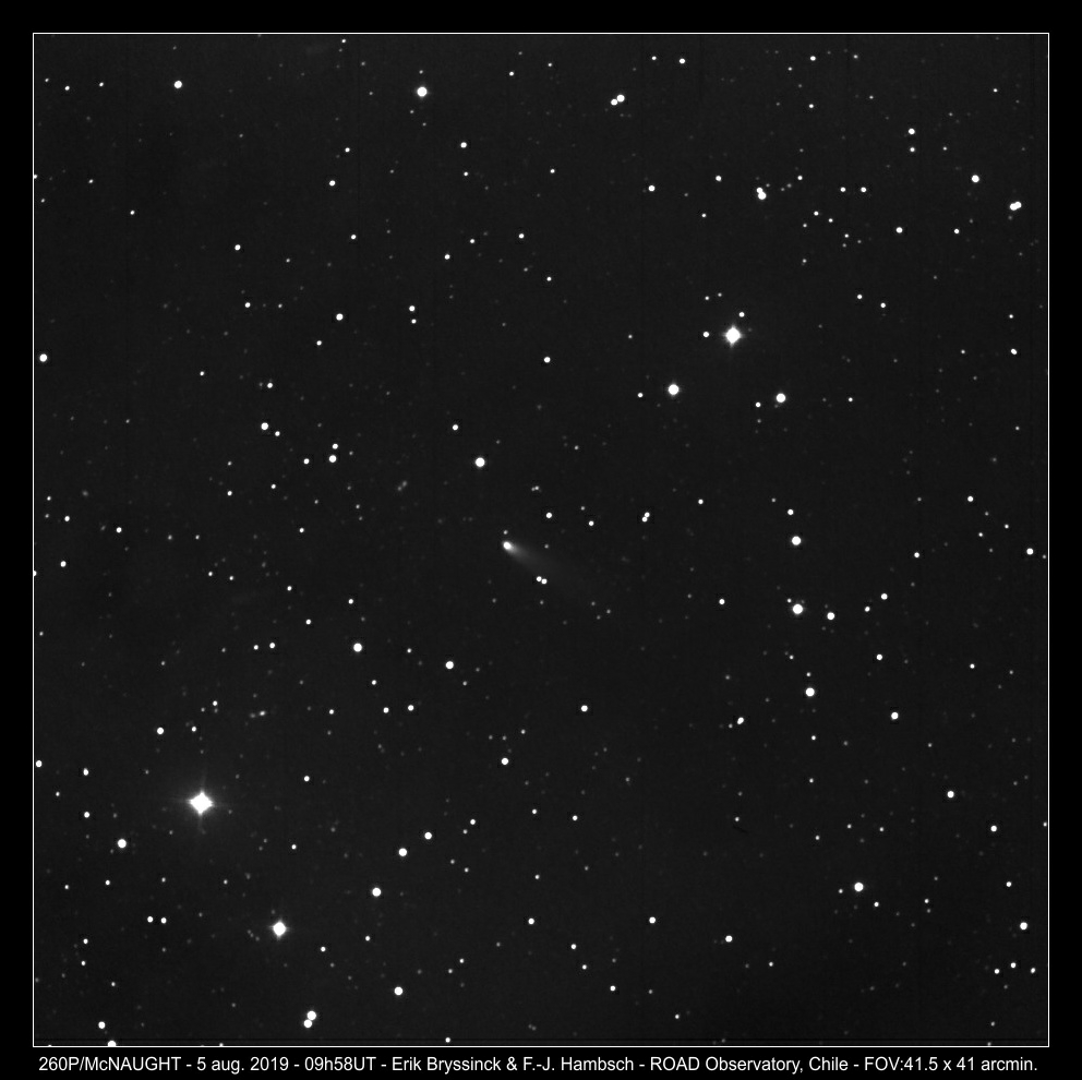 260P/McNAUGHT on 5 aug. 2019, Erik Bryssinck & F.-J. Hambsch