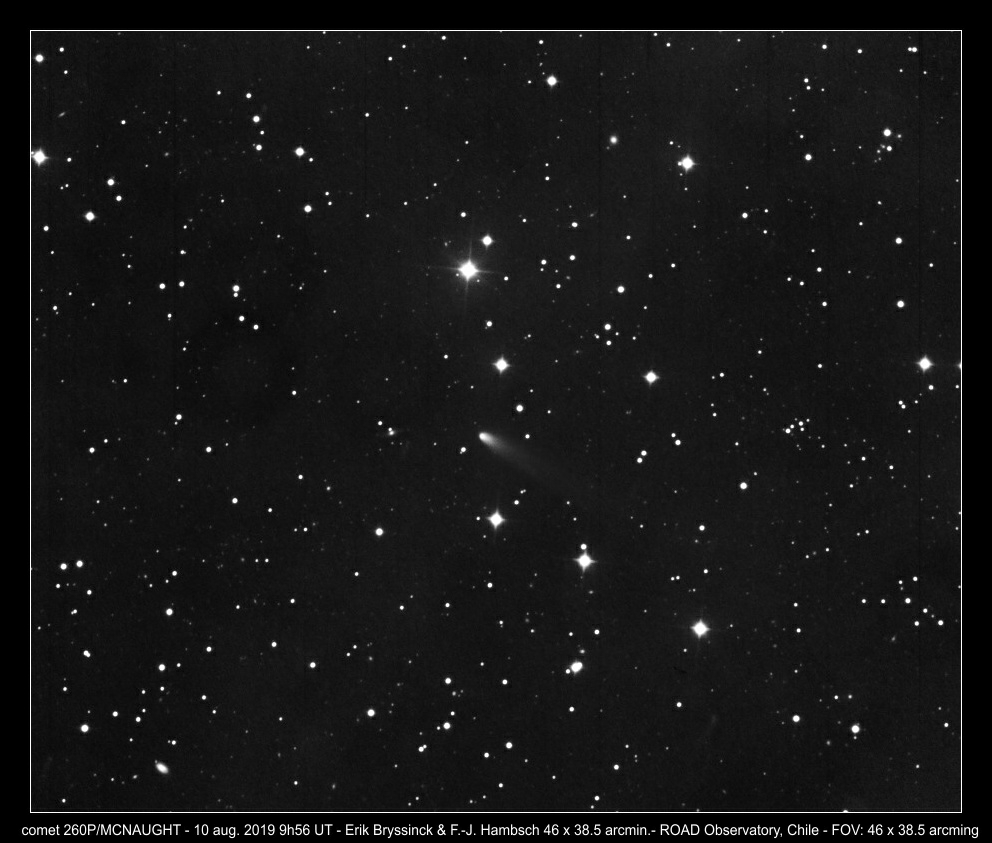 comet 260P/MCNAUGHT on 10 aug. 2019, Erik Bryssinck & F.-J. Hambsch