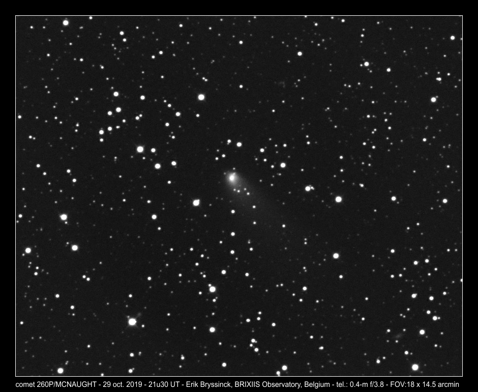 comet 260P on 29 oct. 2019, Erik Bryssinck