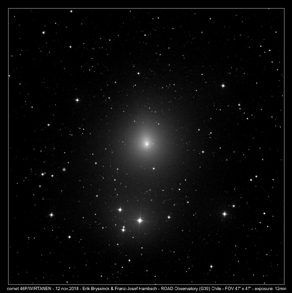 comet 46P/WIRTANEN, Erik Bryssinck & F.-J. Hambsch, ROAD Observatory