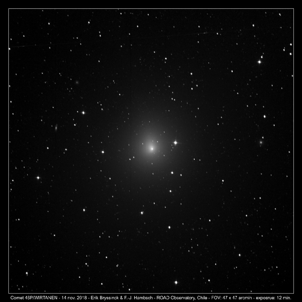 comet 46P/WIRTANEN, Erik Bryssinck, F.-J. Hambsch, ROAD Observatory
