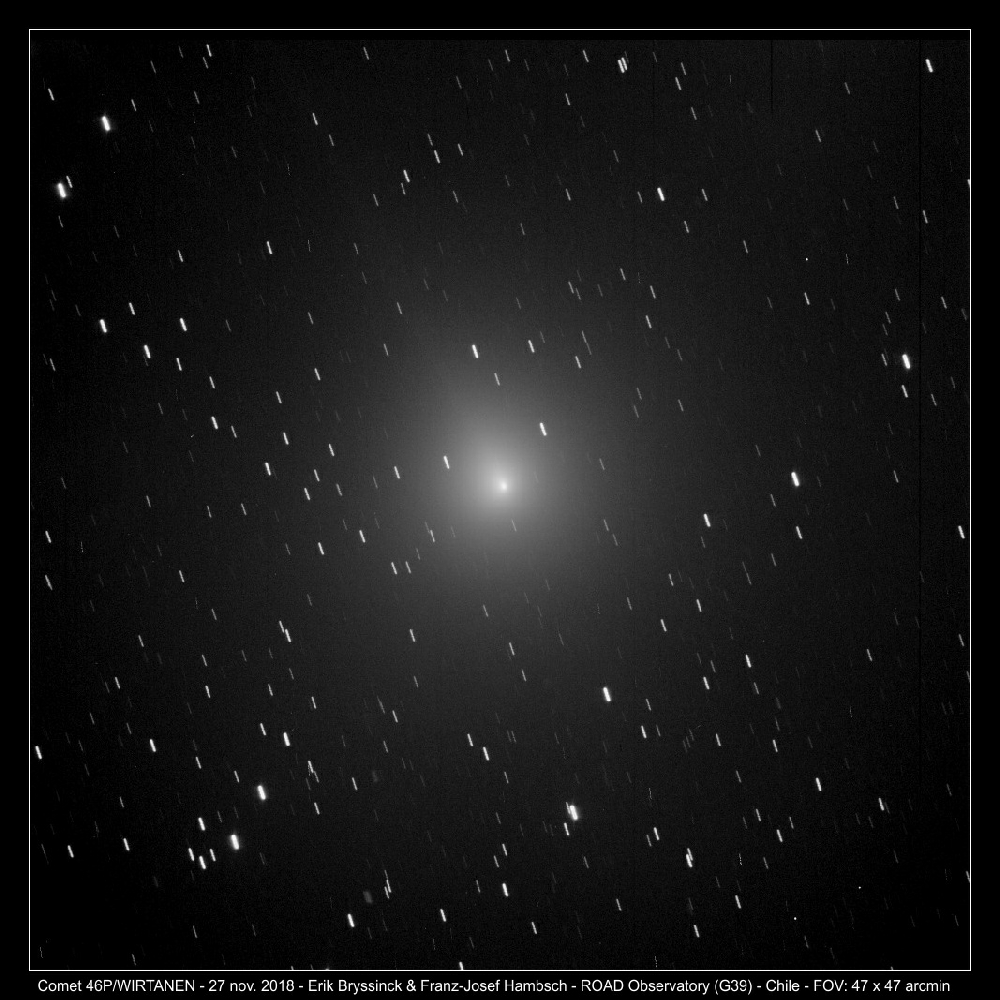 comet 46P/WIRTANEN, Erik Bryssinck & Franz-Josef Hambsch, ROAD Observatory on 27 nov.2018