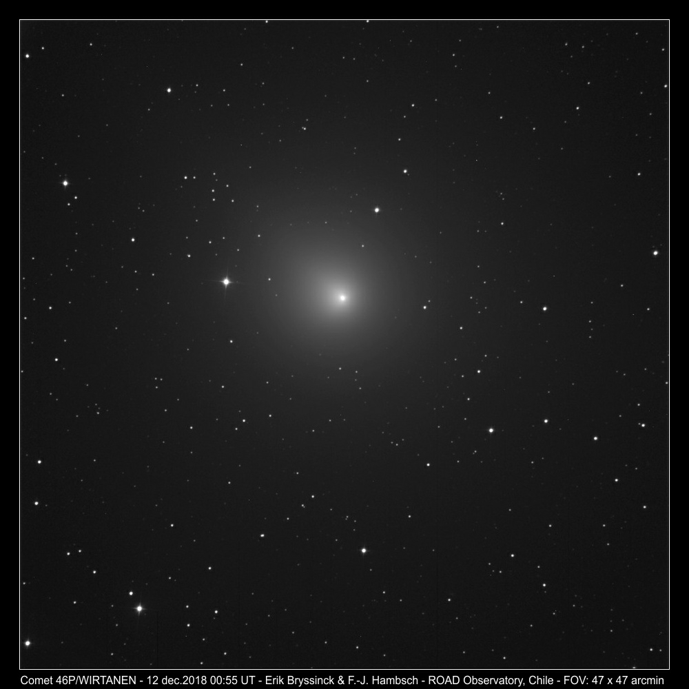 comet 46P/WIRTANEN by Erik Bryssinck & F.-J. Hambsch at perihelion