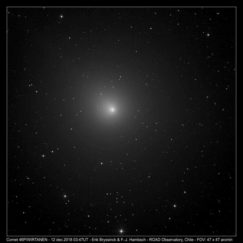 comet 46P/WIRTANEN by Erik Bryssinck & F.-J. Hambsch at perihelium 12 dec.2018