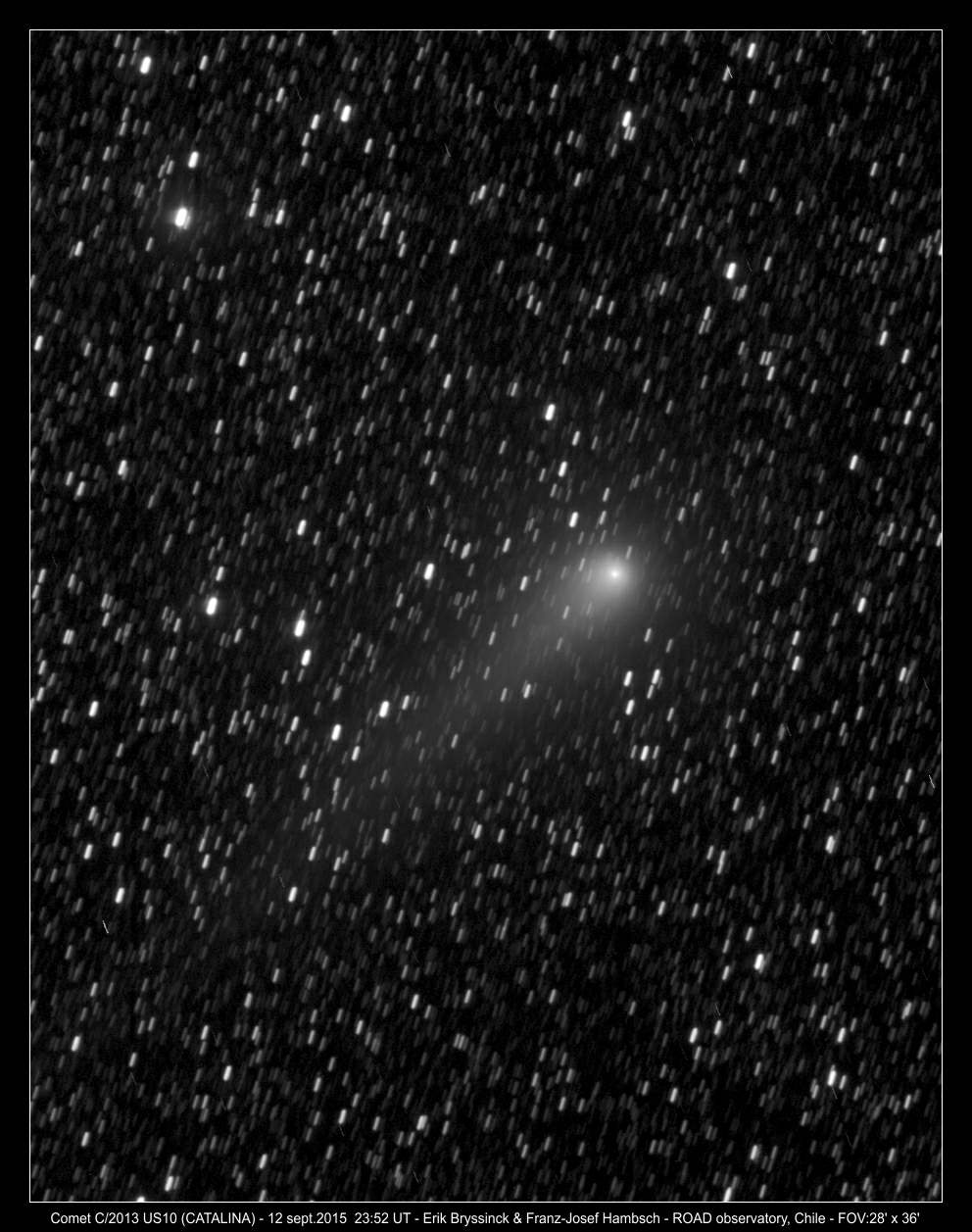 comet C/2013 US10 (CATALINA) by Erik Bryssinck & Franz-Josef Hambsch from ROD observatory