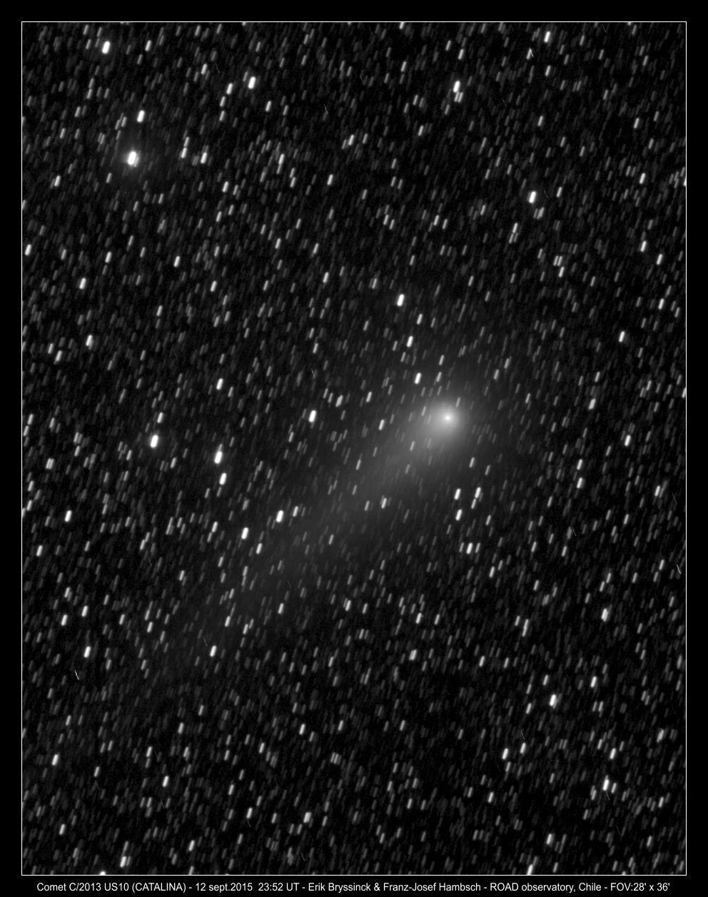 comet C/2013 US10 (CATALINA) by Erik Bryssinck & Franz-Josef Hambsch from ROD observatory