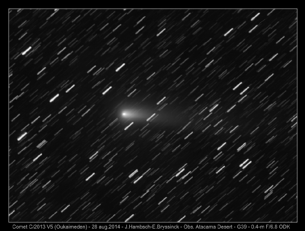 image comet C/2013 V5 - J.Hambsch - E.Bryssinck - (c) 2014