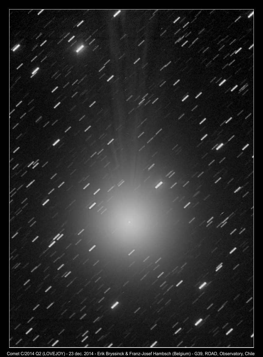 image comet C/2014 Q2 (LOVEJOY) - 23 dec. 2014 - by Erik Bryssinck & Franz-Josef Hambsch