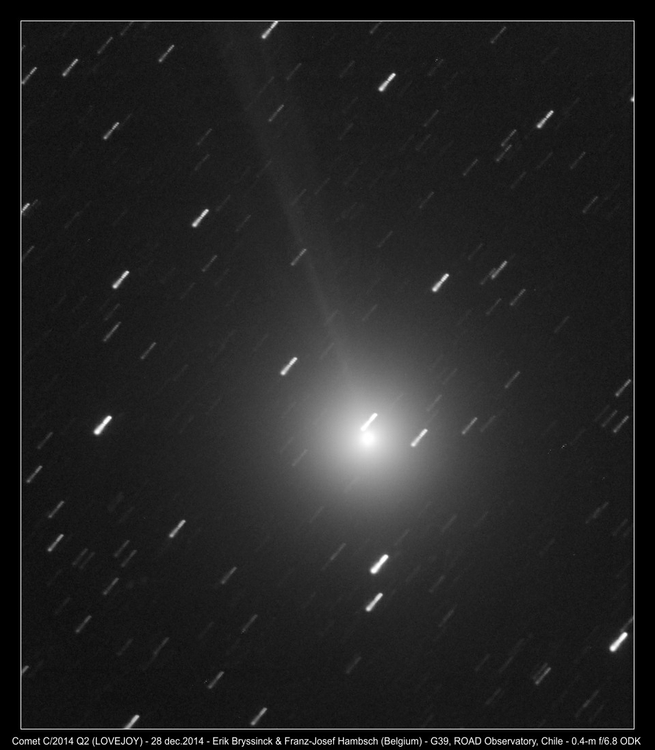 image comet C/2014 Q2 (LOVEJOY) - 28 dec.2014 - by Erik Bryssinck and Franz-Josef Hambsch