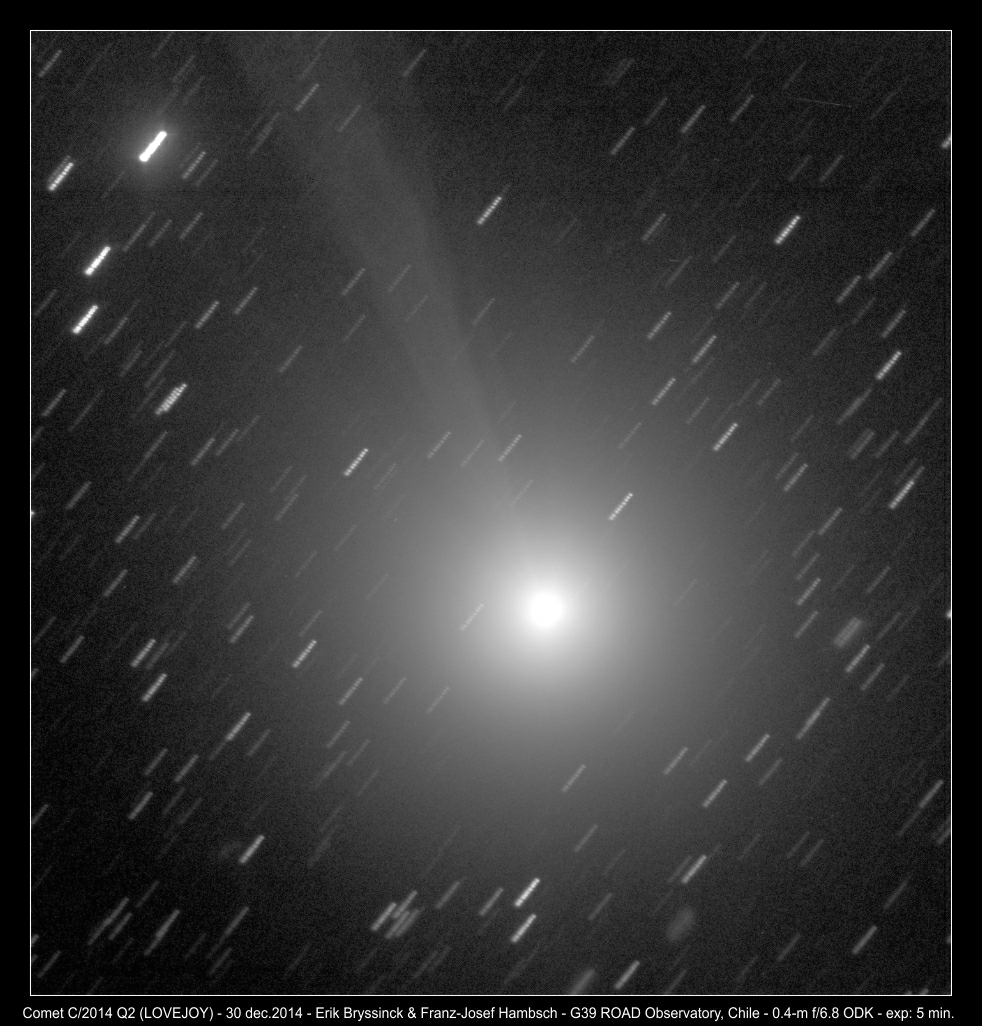 image comet C/2014 Q2 (LOVEJOY) - 30 dec. - by Erik Bryssinck & Franz-Josef Hambsch - ROAD Chile