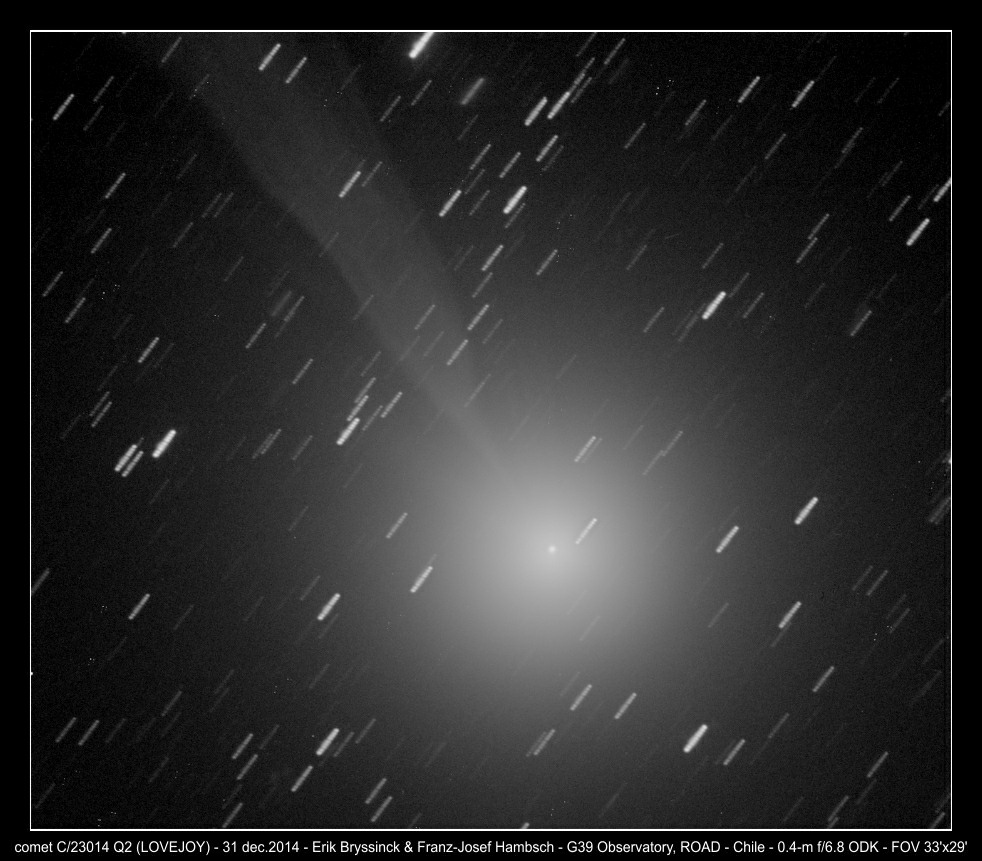 image comet C/2014 Q2 (LOVEJOY by Erik Bryssinck & Franz-Josef Hambsch on 31 dec.2014