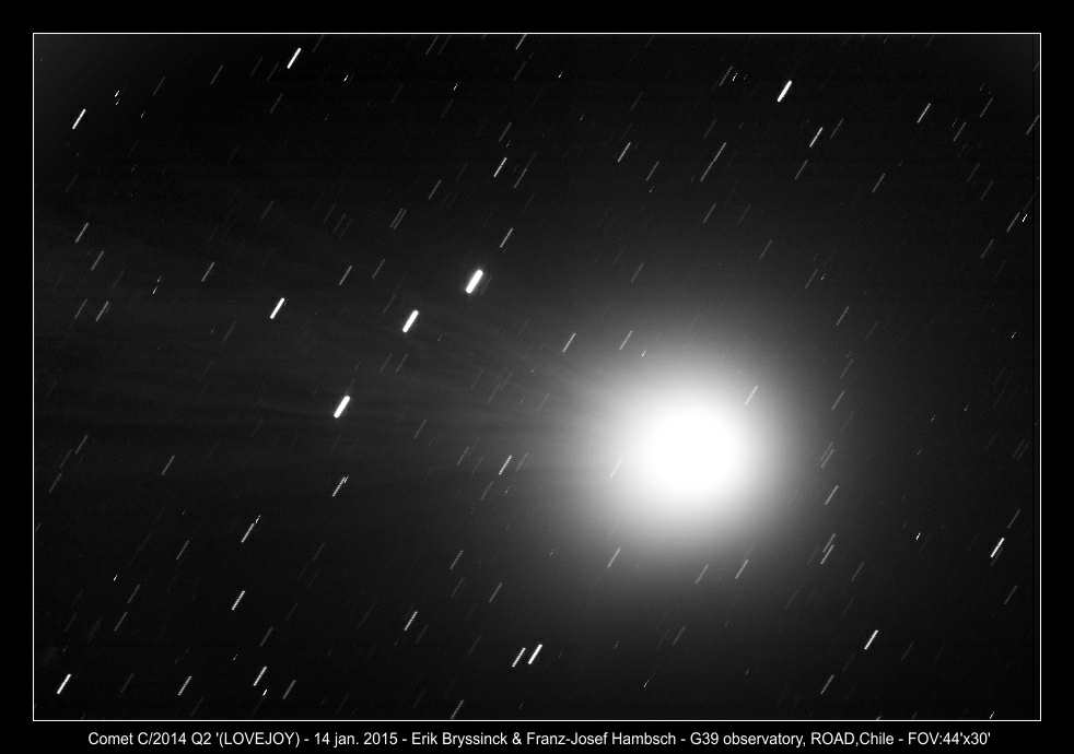 image comet C/2014 Q2 (LOVEJOY) - 15 jan.2015 - Erik Bryssinck, Franz-Josef Hambsch - ROAD Chile