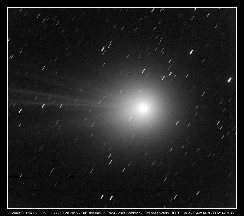 image C/2014 Q2 (LOVEJOY) - 19 jan 2015 - by Erik Bryssinck and Franz-Josef Hambsch