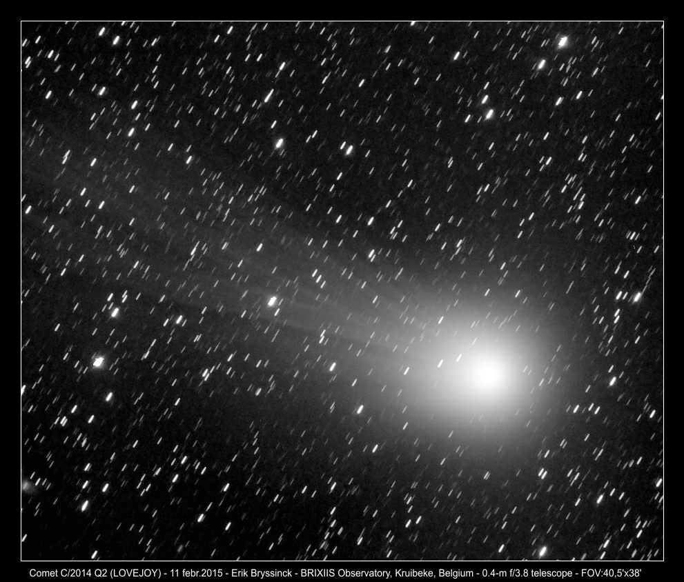 image comet C/2014 Q2 (LOVEJOY) - Erik Bryssinck - BRIXIIS Observatory - B96 observatory