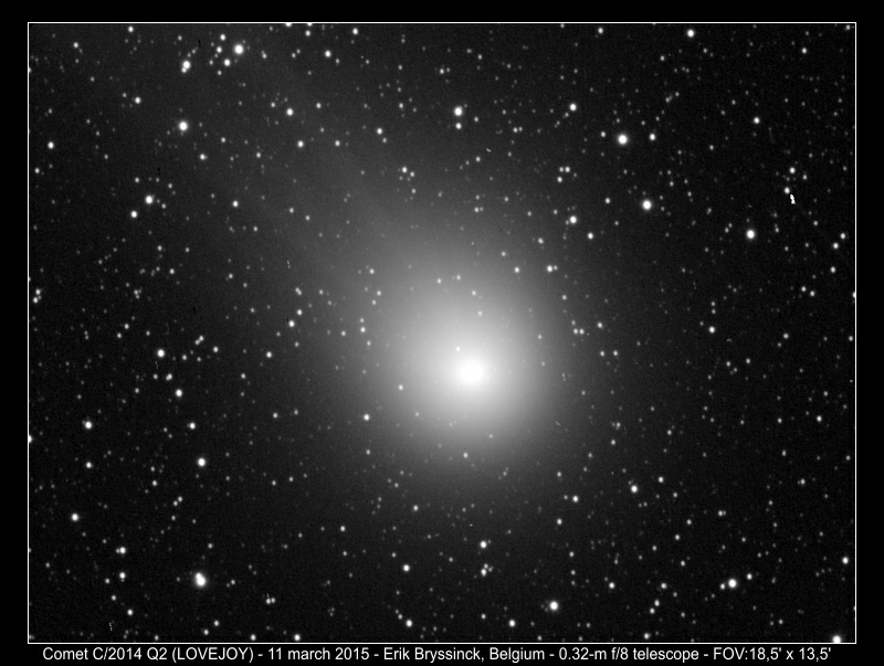 image comet C/2014 Q2 (LOVEJOY) by Erik Bryssinck