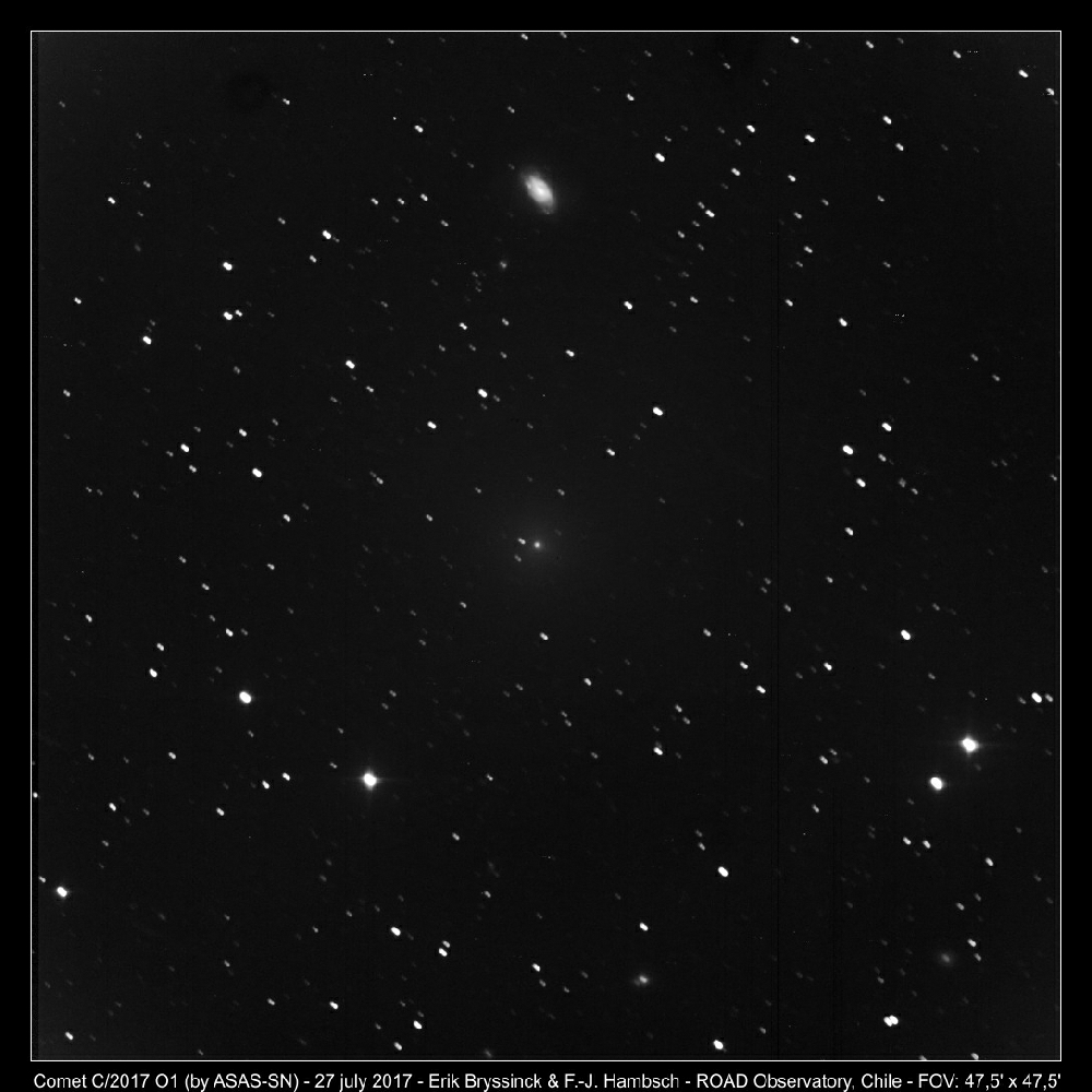Image comet C/2017 O1 discovered by ASAS-SN, image taken by Erik Bryssinck & F.-J. Hambsch on 27 july 2017