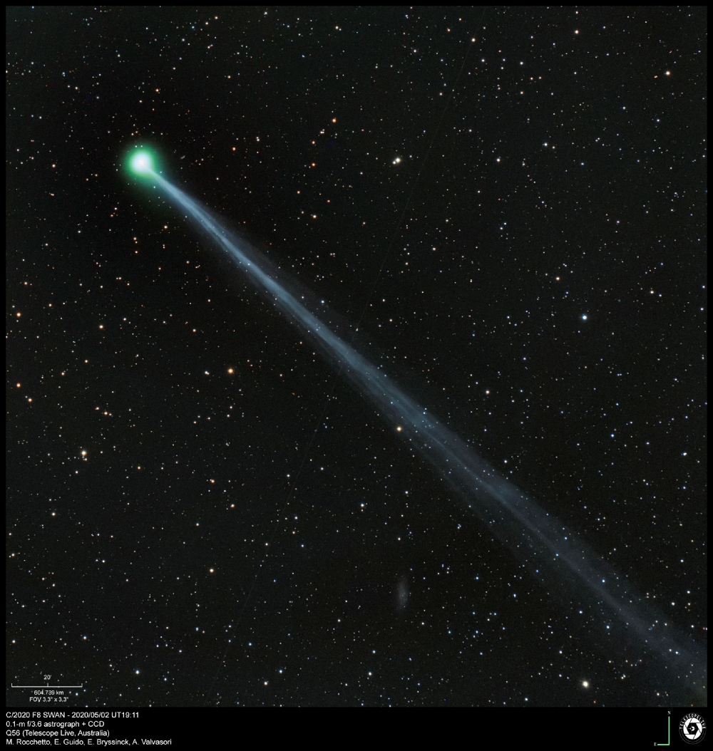 comet C/2020 F8 (SWAN) on 2 may 2020, Telescope Live