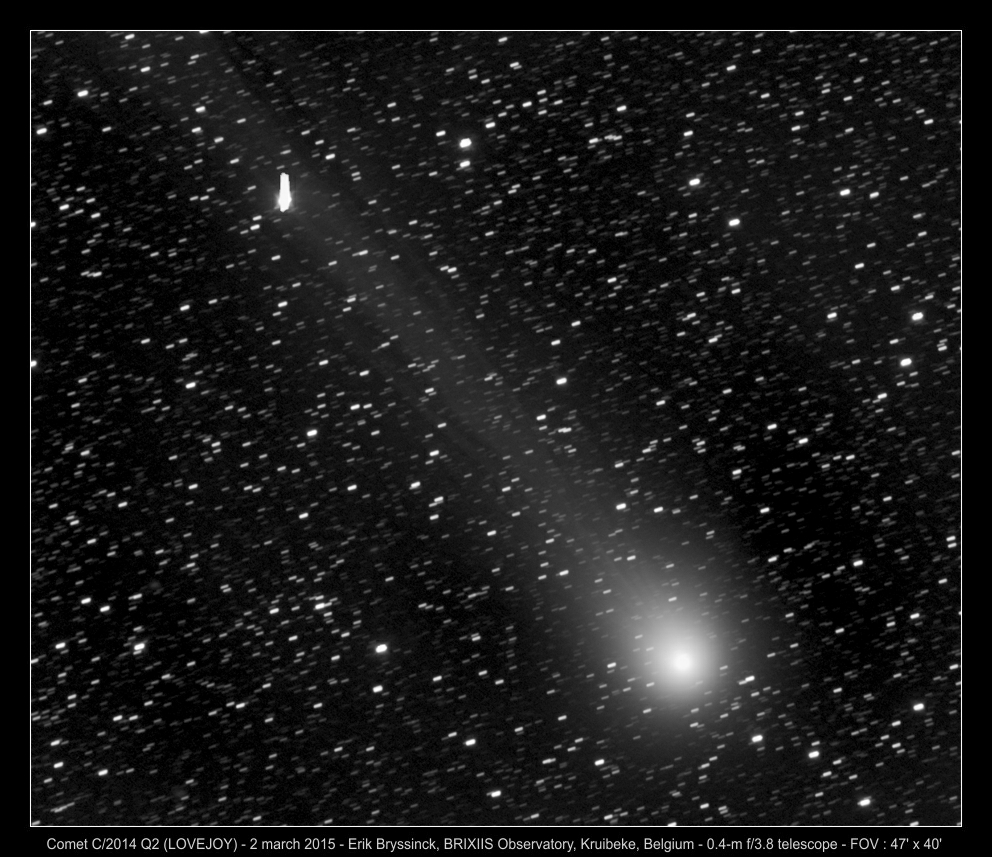 image comeet C/2014 Q2 (LOVEJOY) by Erik Bryssinck from BRIXIIS Observatory