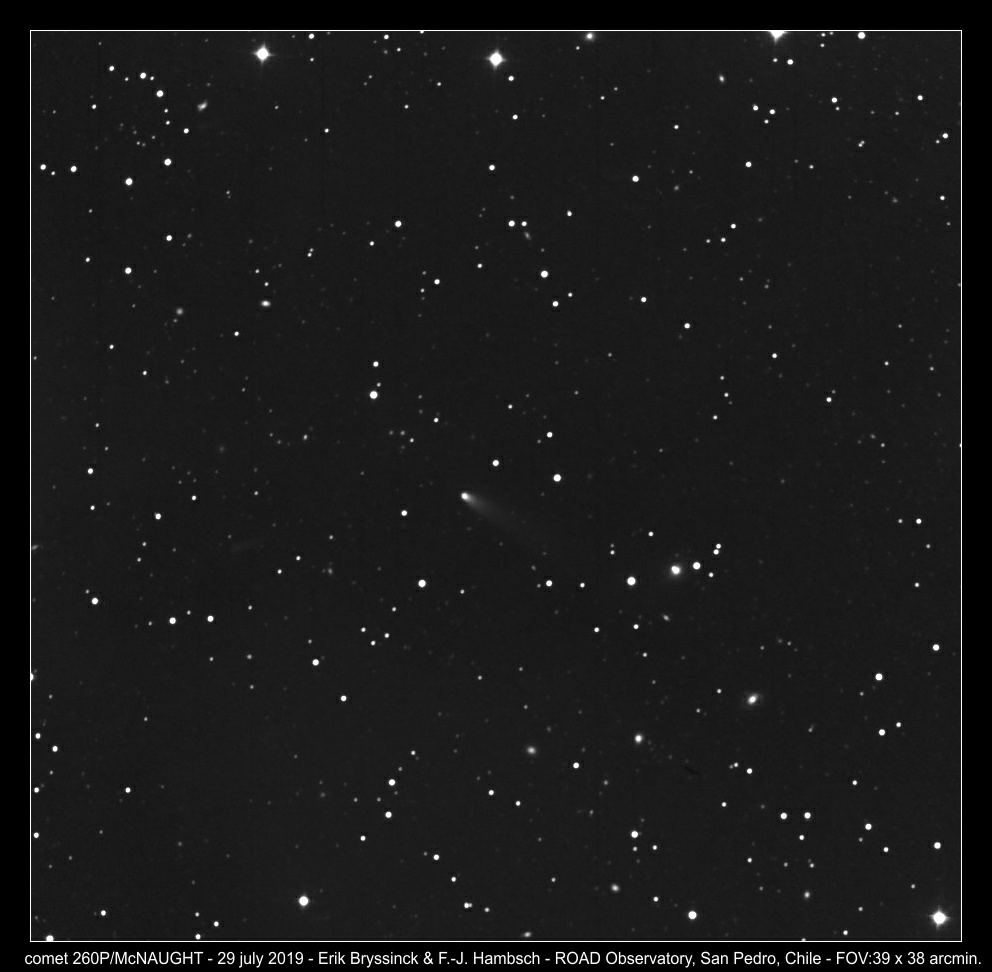 comet 260P/MCNAUGHT on 29 july, Erik Bryssinck