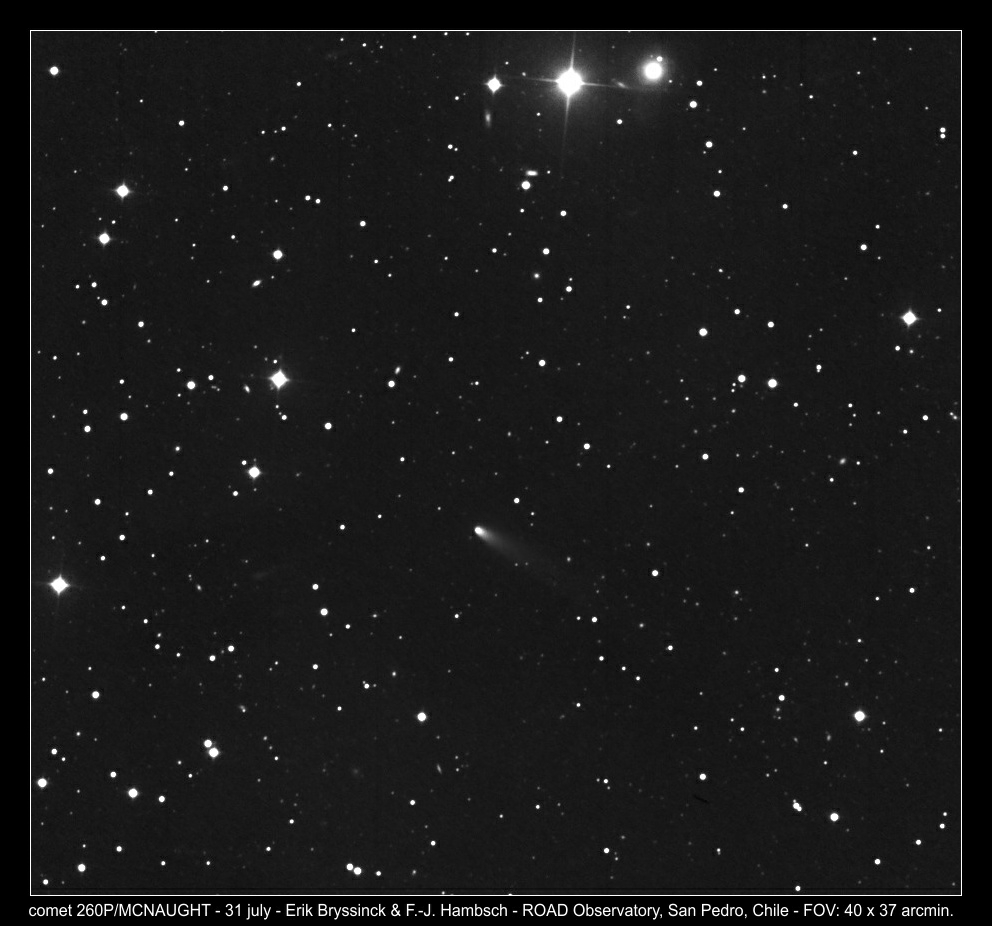 comet 260P/MCNAUGHT on 31 july 2019, Erik Bryssinck