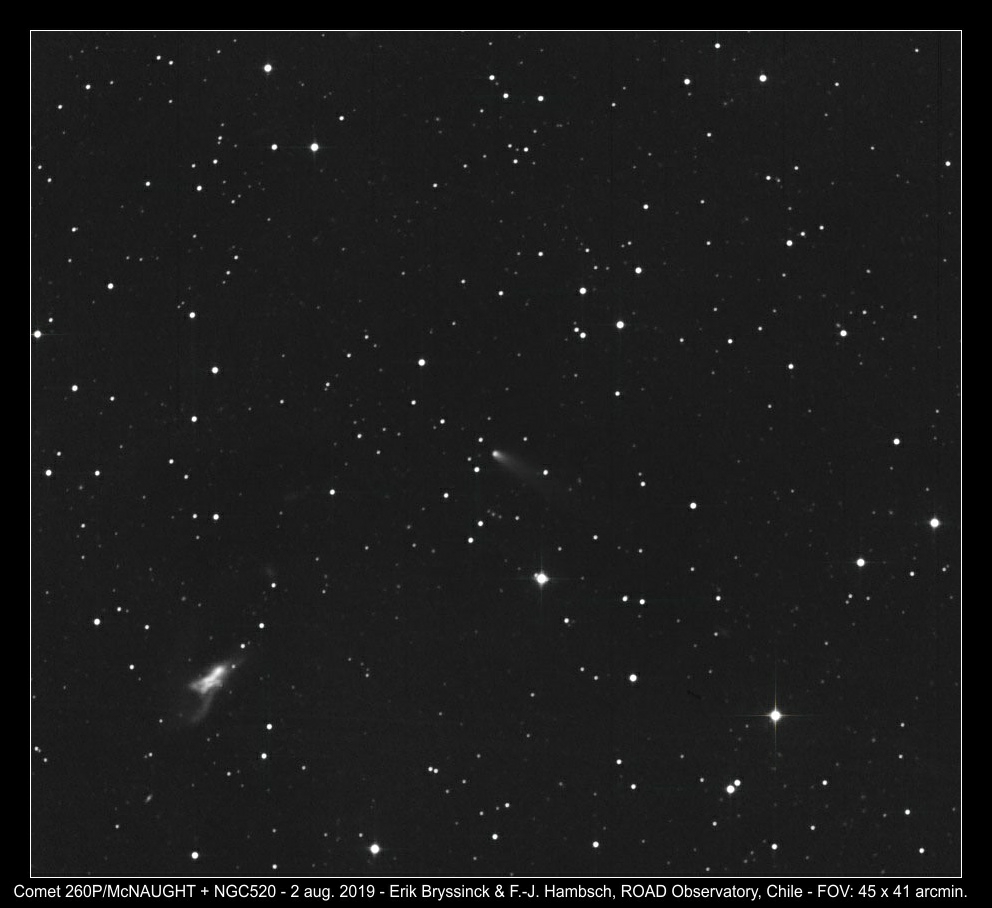 comet 260P/MCNAUGHT on 2 aug. 2019, Erik Bryssinck & F.-J. Hambsch, G39 observatory