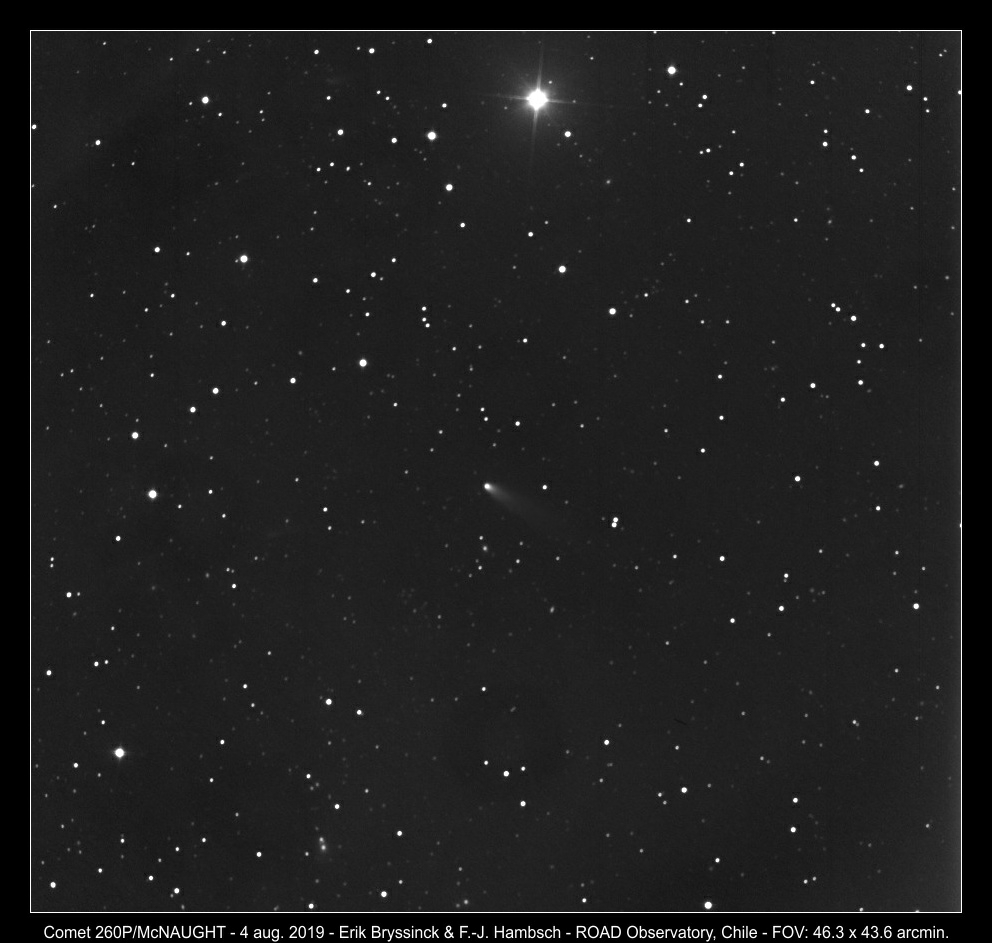 comet 260P/MCNAUGHT on 4 aug., Erik Bryssinck