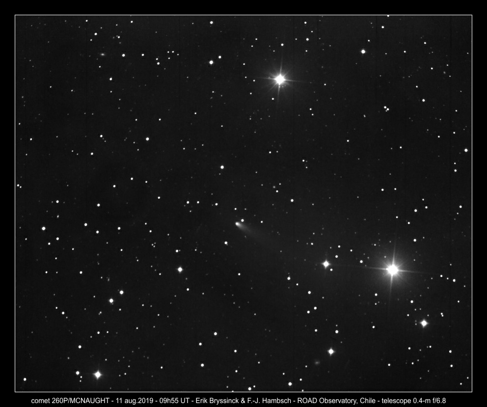 comet 260P/MCNAUGHT on 11 aug. 2019, Erik Bryssinck & Franz-Josef Hambsch