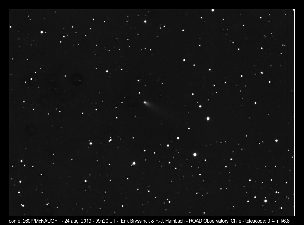 comet 260P/McNAUGHT on 24 aug. 2019 - Erik Bryssinck & F.-J. Hambsch
