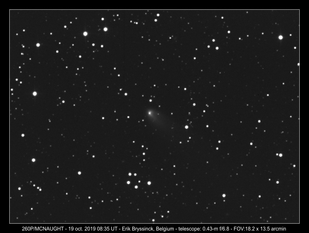 comet 260P/MCNAUGHT on 19 oct., Erik Bryssinck