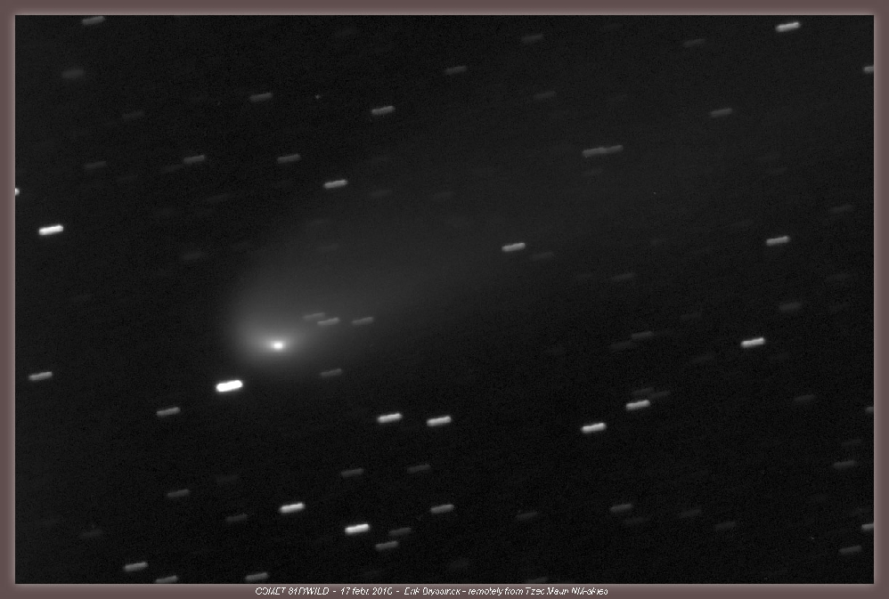 Image comet 81P/WILD by Erik Bryssinck on 17 febr.2010