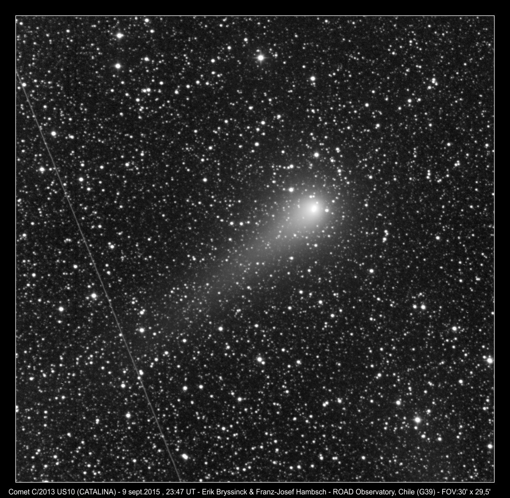 Comet C/2013 US10 (CATALINA) by Erik Bryssinck & Franz-Josef Hambsch, ROAD observatory (G39 observatory)