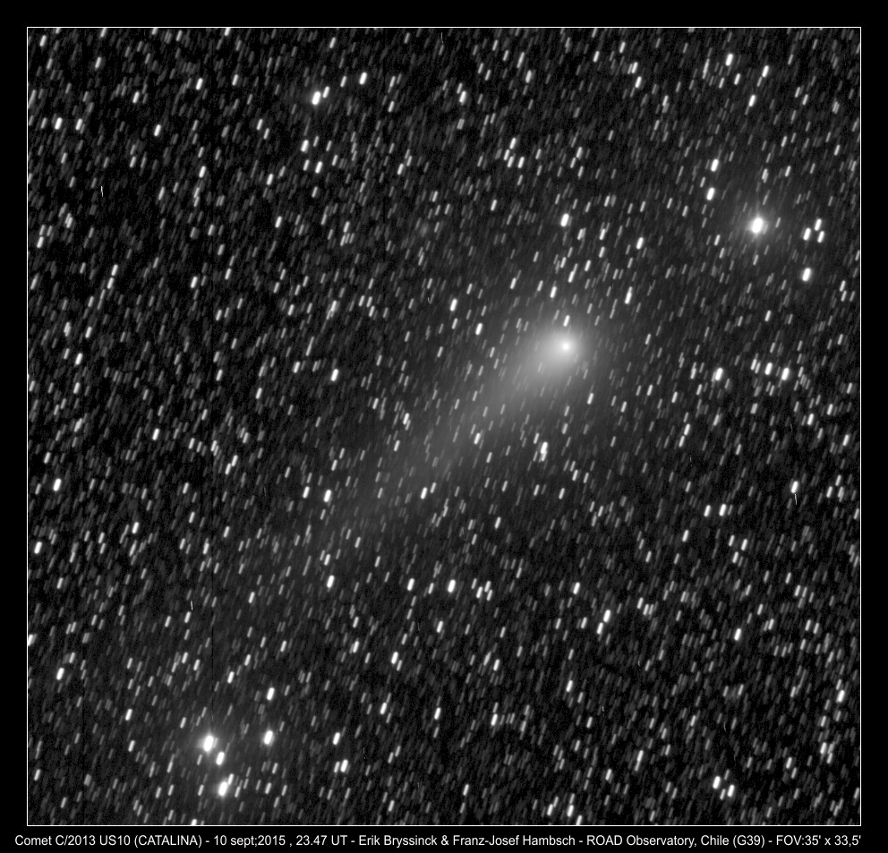 comet C/2013 US10 (CATALINA) by Erik Bryssinck & Franz-Josef Hambsch from ROAD, Chile (G39 observatory)
