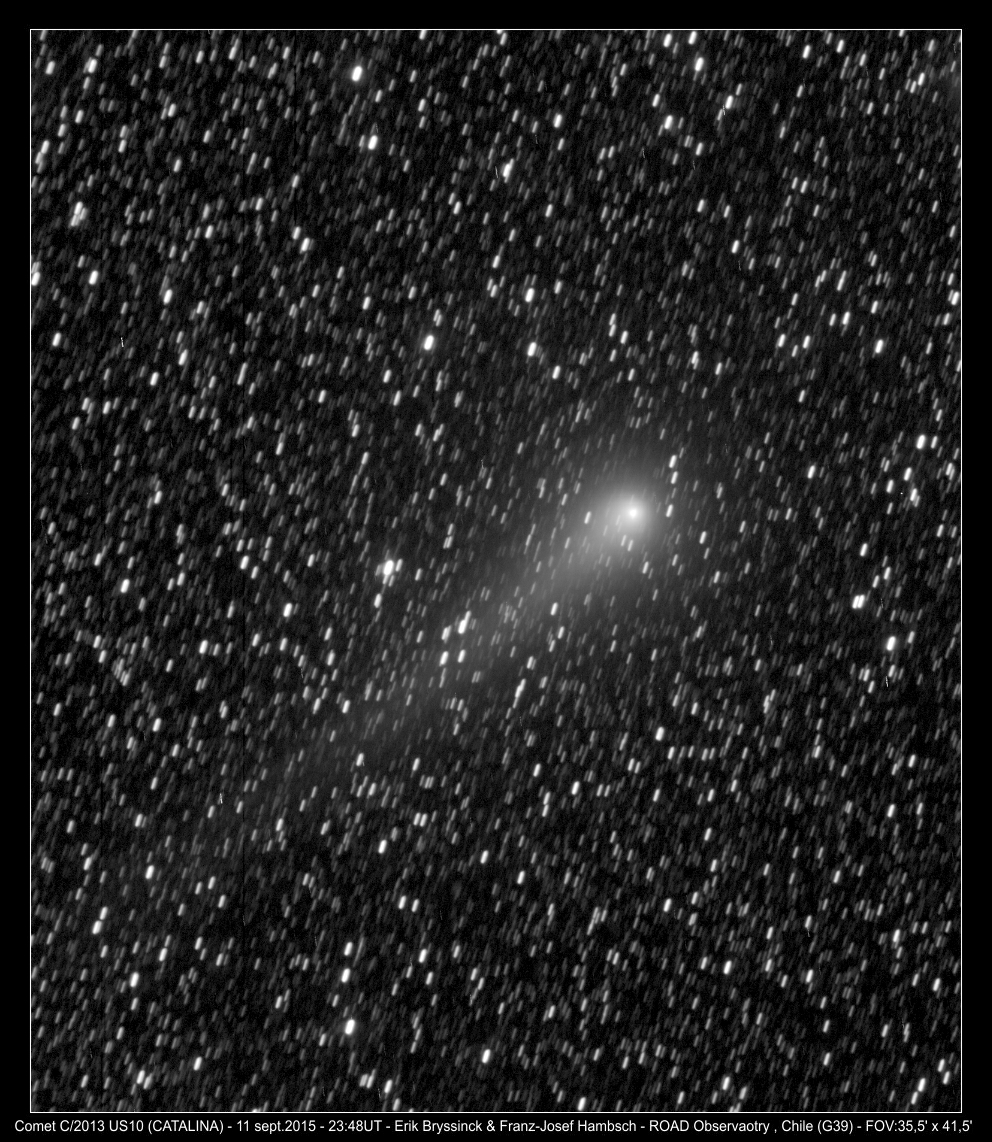 comet C/2013 US10 (CATALINA) by Erik Bryssinck & Franz-Josef Hambsch from ROAD, Chile observatory