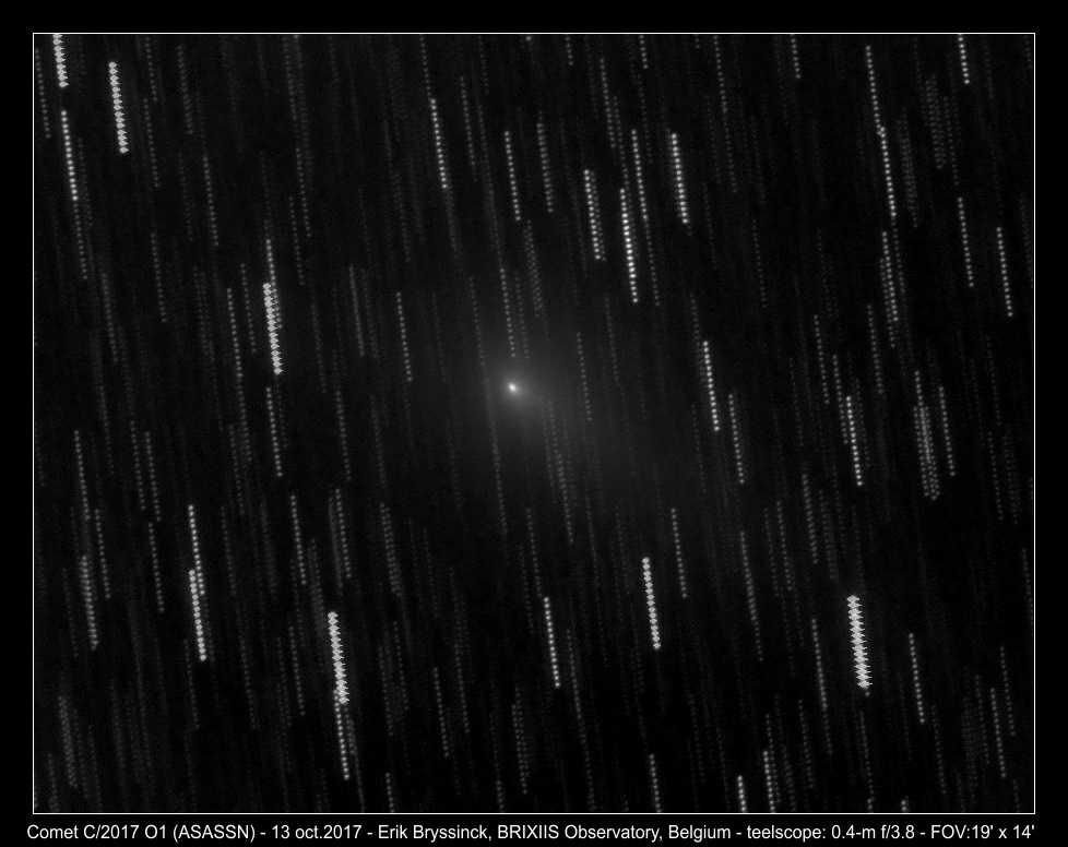 image comet C/2017 O1 by Erik Bryssinck from BRIXIIS Observatory, Kruibeke, Belgium on 13 oktober 2017