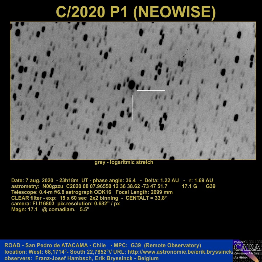 comet C/2020 P1 (NEOWISE), E.Bryssinck, F.-J. Hambsch, ROAD Observatory Chile