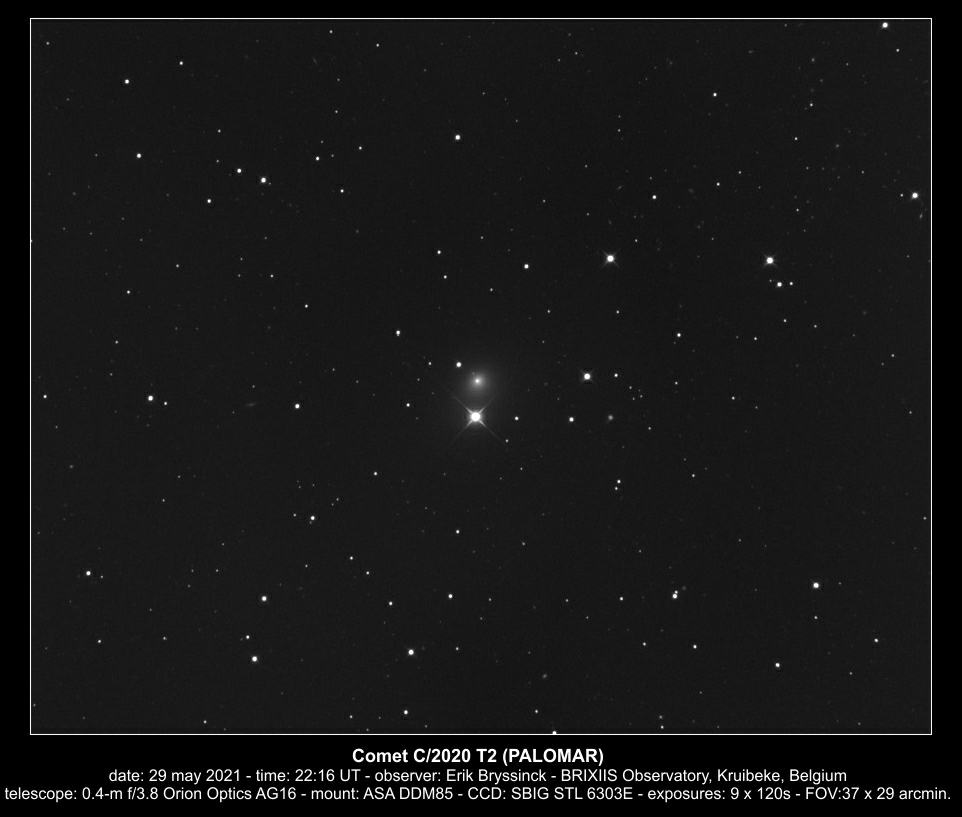 comet C/2020 T2 (PALOMAR), Erik Bryssinck, 29 may 2021, BRIXIIS Observatory